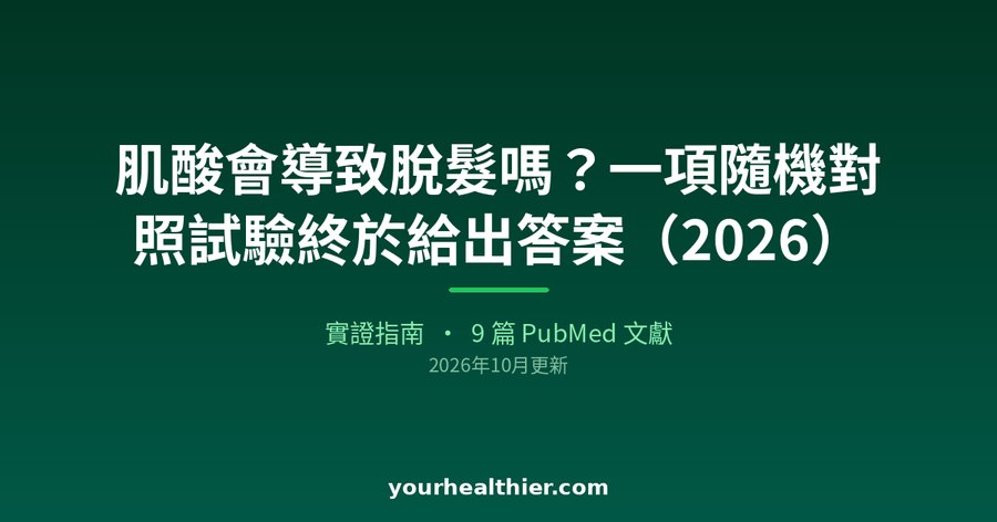 肌酸會導致脫髮嗎？一項隨機對照試驗終於給出答案（2026）